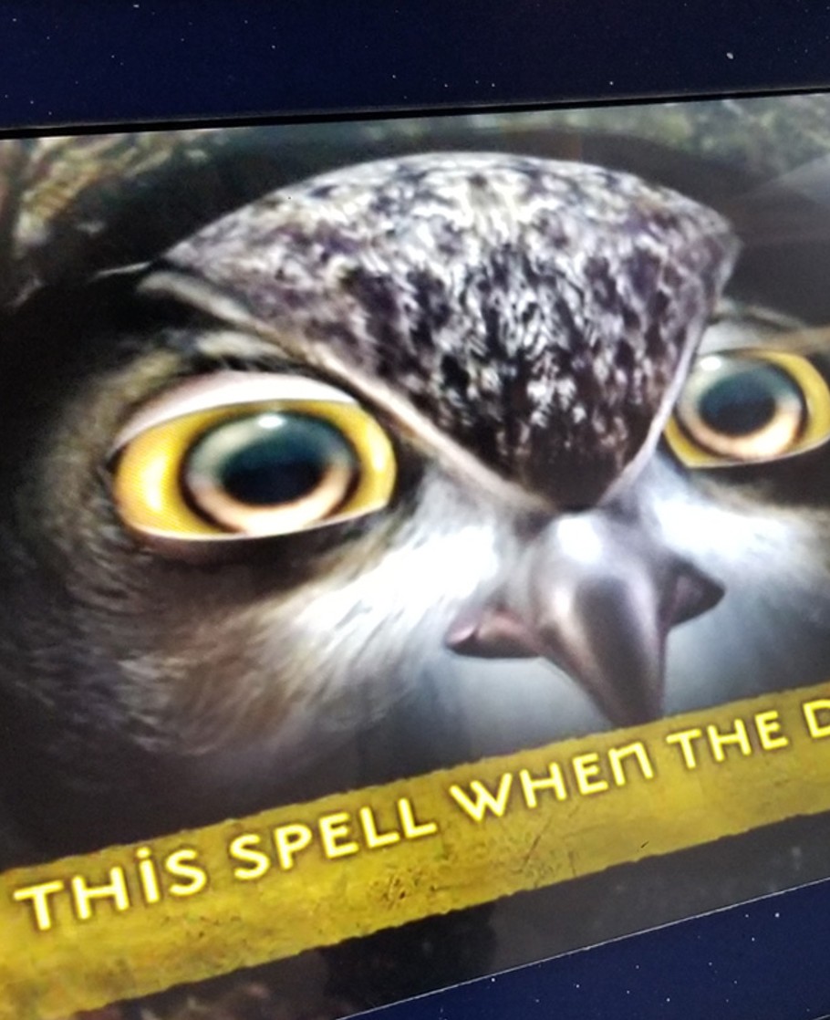 A screen with an owl face and the the words "this spell when the dragon"